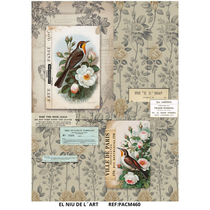 copy of 